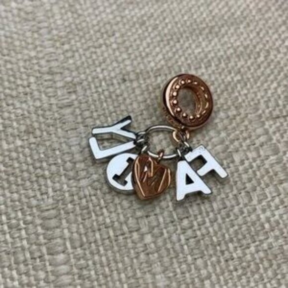 Pandora Family Charm Rose Gold and Silver - Picture 3 of 5